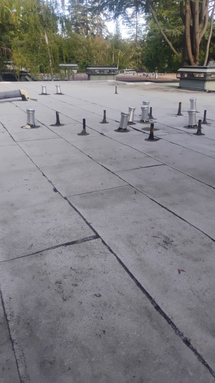 Star's Janitorial Services project photo 34 - commercial cleaning work in the East Bay