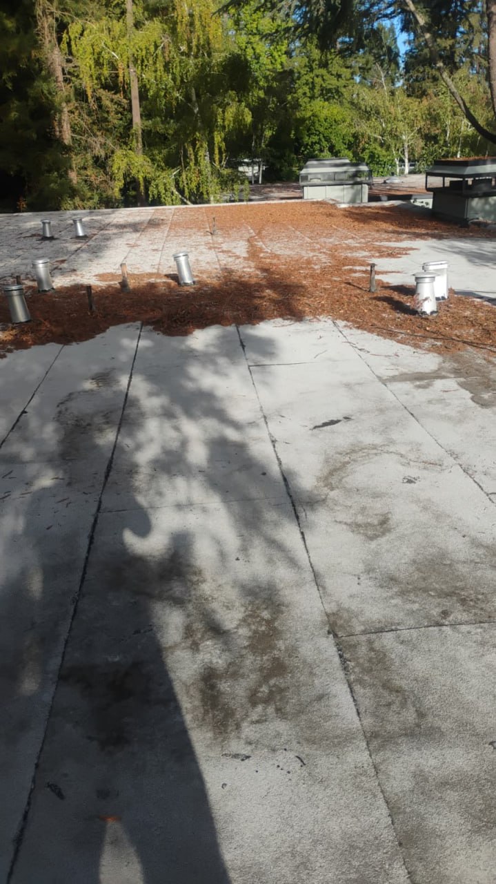 Star's Janitorial Services project photo 36 - commercial cleaning work in the East Bay
